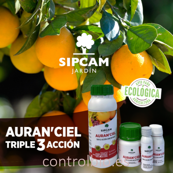 AURAN´CIEL aceite de naranja triple acción