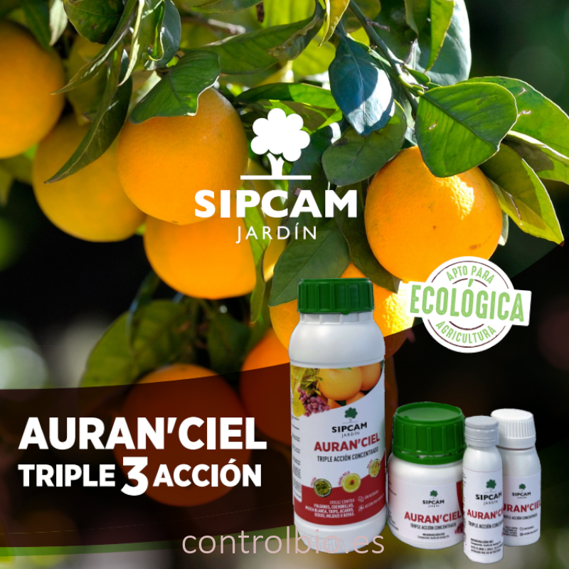 AURAN´CIEL aceite de naranja triple acción