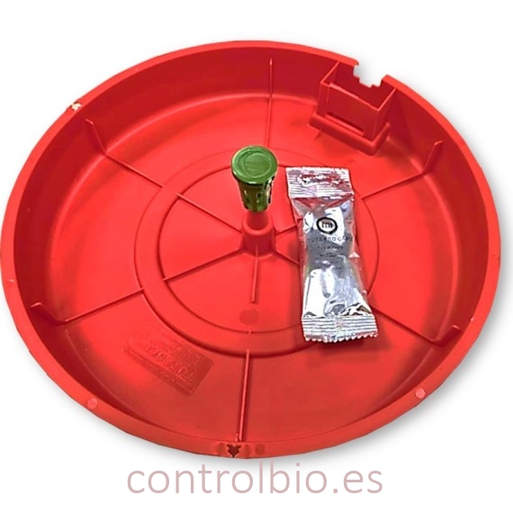 TUTA  kit de captura (Trampa + Feromona)