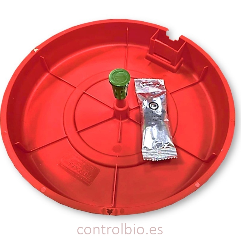 TUTA  kit de captura (Trampa + Feromona)