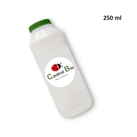 BOTE ENTOMOLÓGICO 250 ml