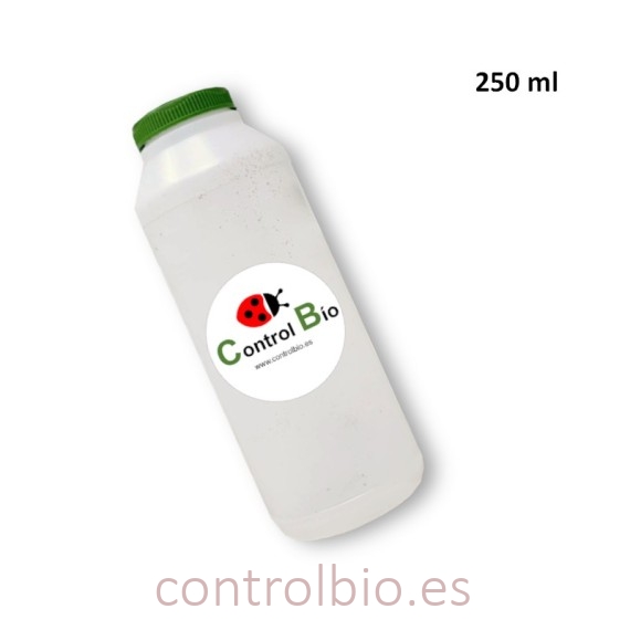BOTE ENTOMOLÓGICO 250 ml
