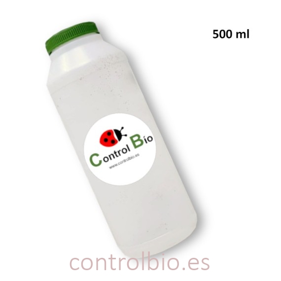 BOTE ENTOMOLÓGICO 500 ml