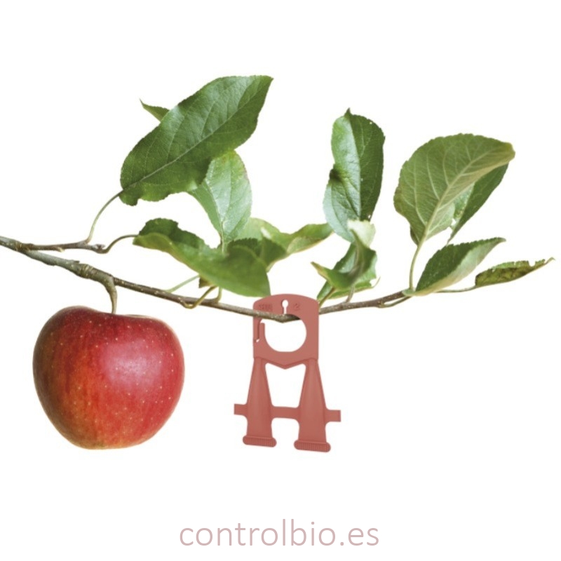 CYDIATEC confusión sexual para control de Cydia pomonella