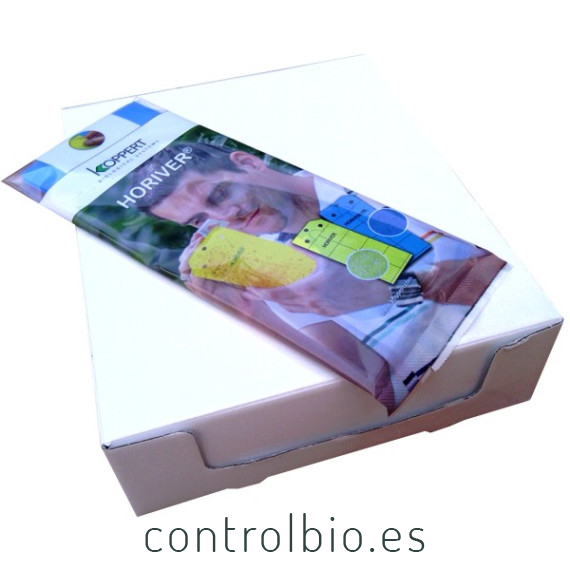 PLACA AZUL 10 x 25 cm (Caja de 800 Ud)