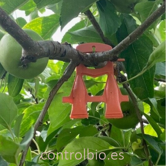 CYDIATEC confusión sexual para control de Cydia pomonella