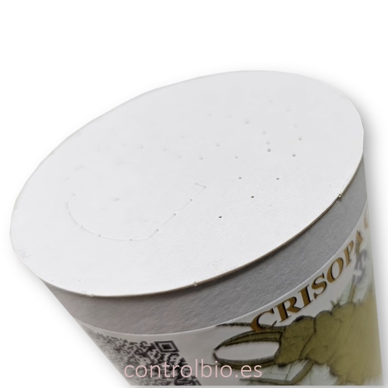 CRISOPA CBi 1.000 larvas depredadoras