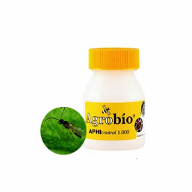 APHIcontrol 5000 pupas de aphidius colemani