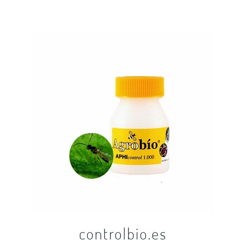 APHIcontrol 5000 pupas de aphidius colemani