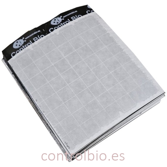 PLACA NEGRA 20 x 25 cm (paquete x 50 Ud) especial tuta