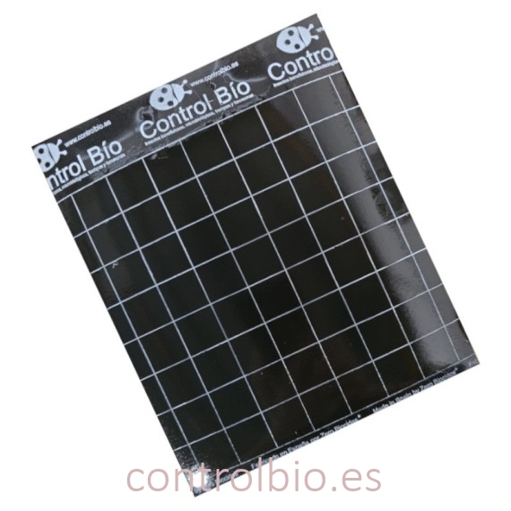 PLACA NEGRA 20 x 25 cm individual especial tuta