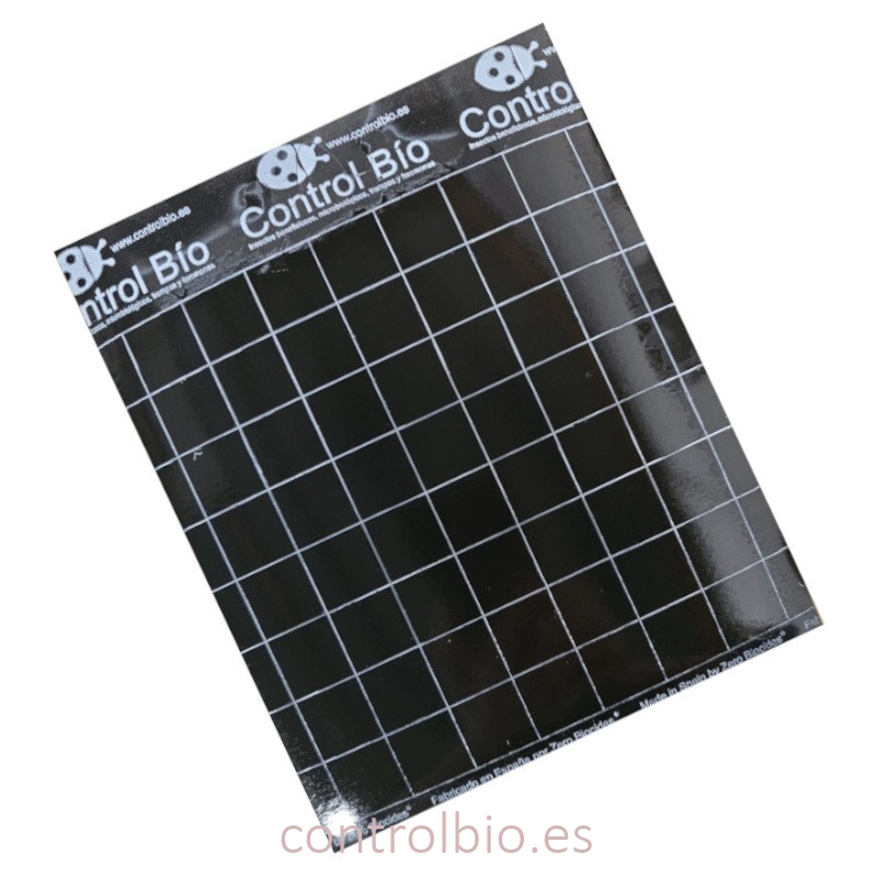 PLACA NEGRA 20 x 25 cm individual especial tuta