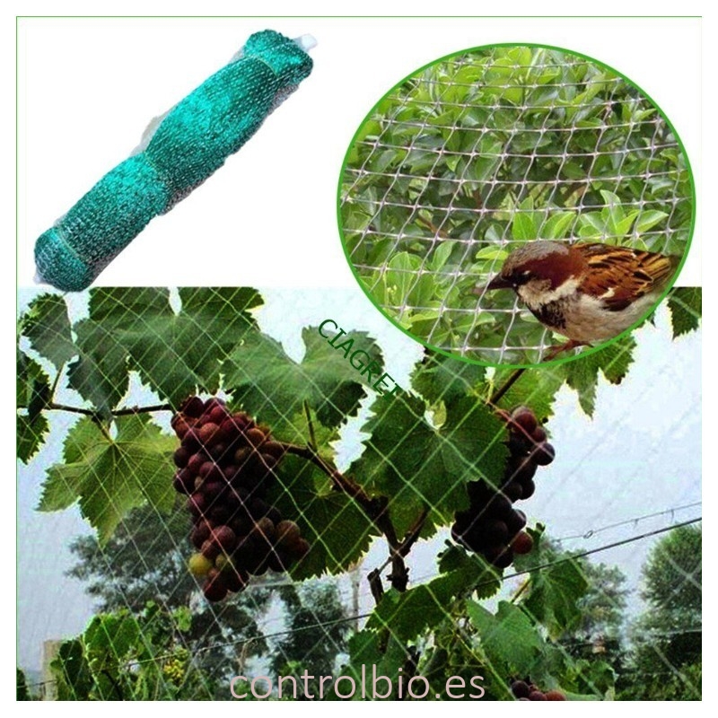 MALLA protectora antipajaros verde bolsa 6X10mt
