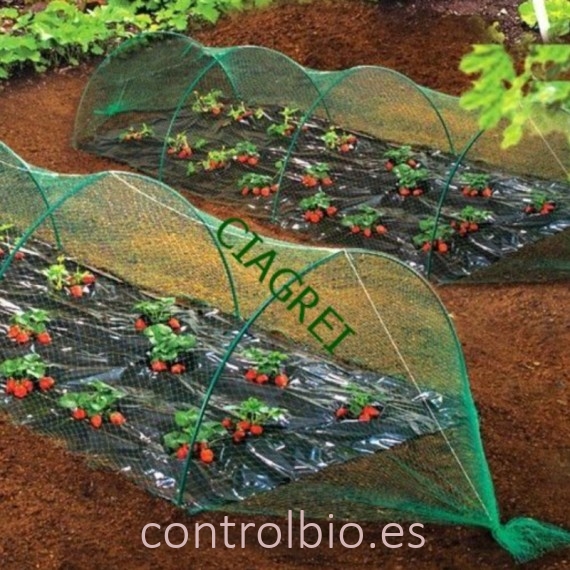 MALLA protectora antipajaros verde bolsa 6X10mt