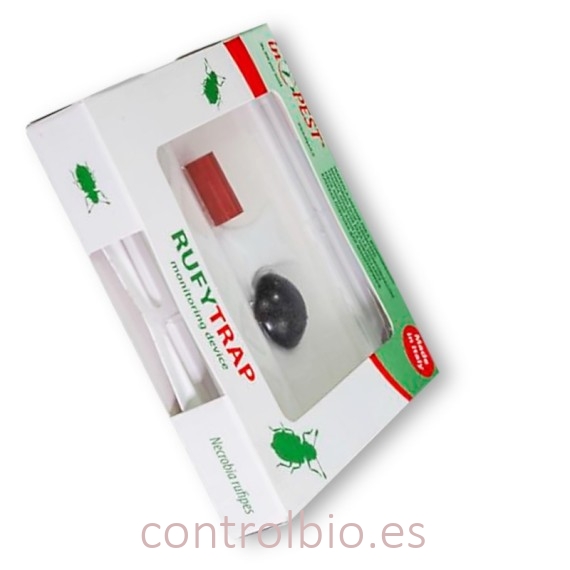 RUFYTRAP para monitoreo del escarabajo del jamón