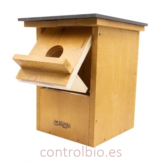 CAJA NIDO PARA CERNÍCALO