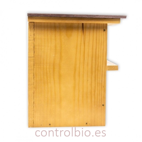 CAJA NIDO PARA CERNÍCALO
