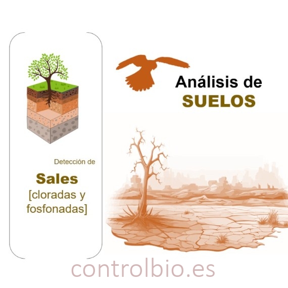 DETECCIÓN DE SALES CLORADAS Y FOSFONADAS EN SUELO