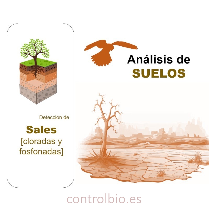 DETECCIÓN DE SALES CLORADAS Y FOSFONADAS EN SUELO