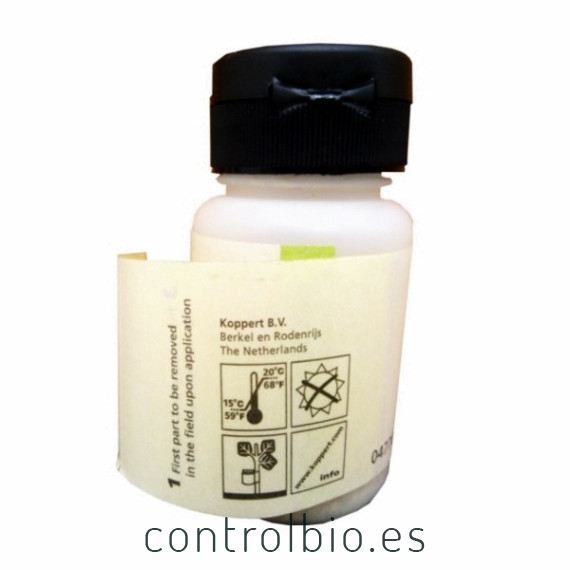 CITRIPAR 500 pupas de Anagyrus contra cochinilla algodonosa