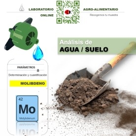 DETERMINACIÓN DE MOLIBDENO