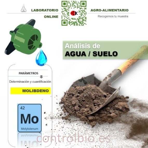 DETERMINACIÓN DE MOLIBDENO