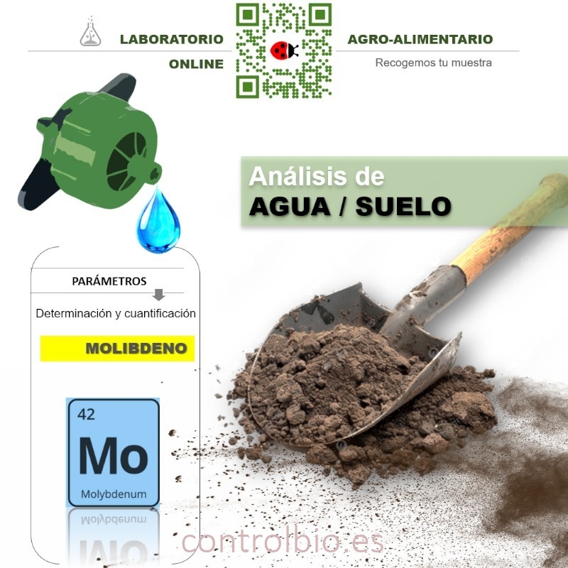 DETERMINACIÓN DE MOLIBDENO
