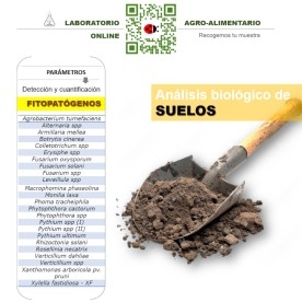 DETECCIÓN DE FITOPATÓGENOS en suelos de cultivo