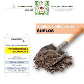 DETECCIÓN de trichodermas y micorrizas