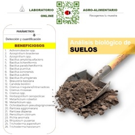 DETECCIÓN de microorganismos beneficiosos de suelo