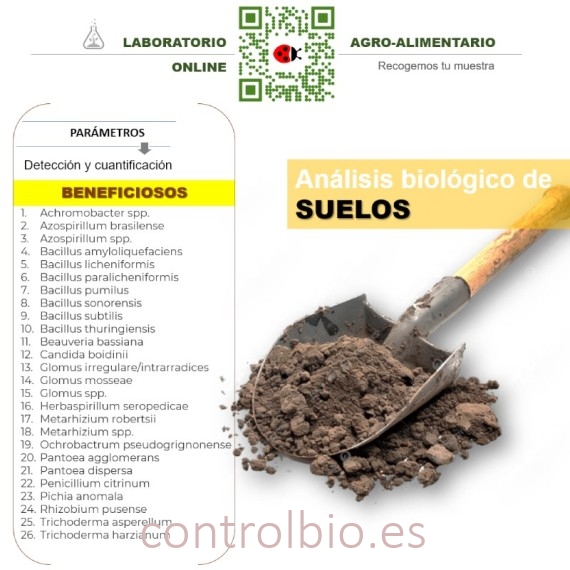 DETECCIÓN de microorganismos beneficiosos de suelo