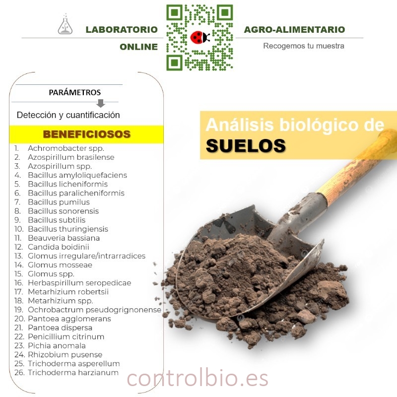 DETECCIÓN de microorganismos beneficiosos de suelo
