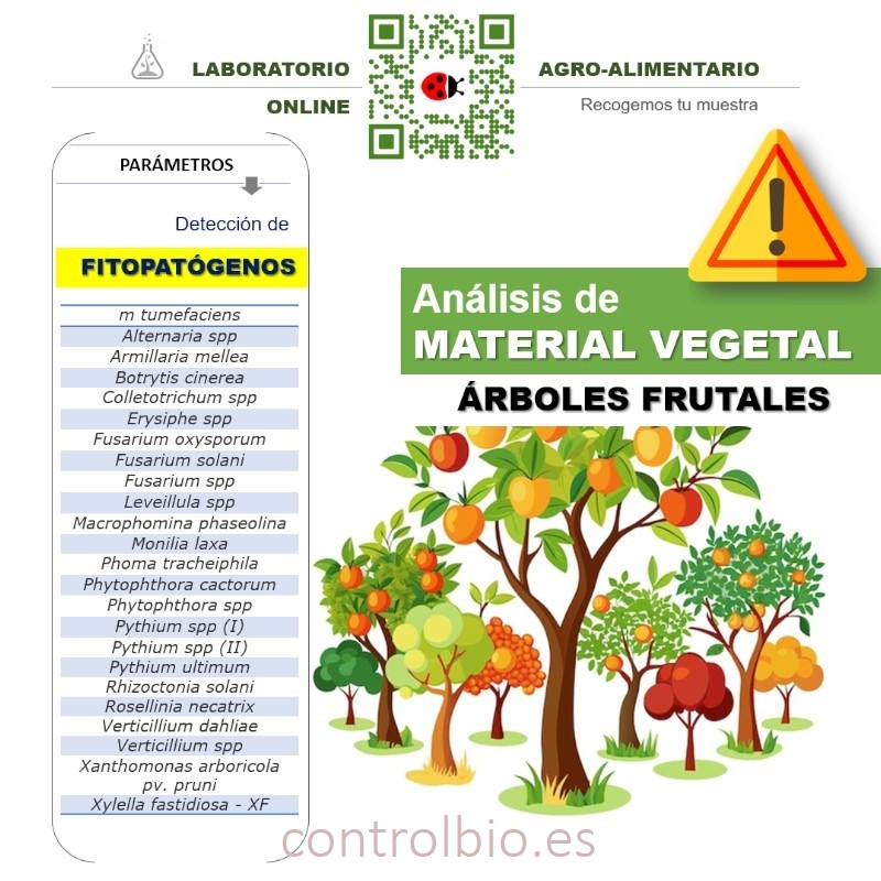 DETECCIÓN DE FITOPATÓGENOS en frutales