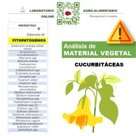 DETECCIÓN DE FITOPATÓGENOS en cucurbitáceas