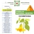 DETECCIÓN DE FITOPATÓGENOS en cucurbitáceas