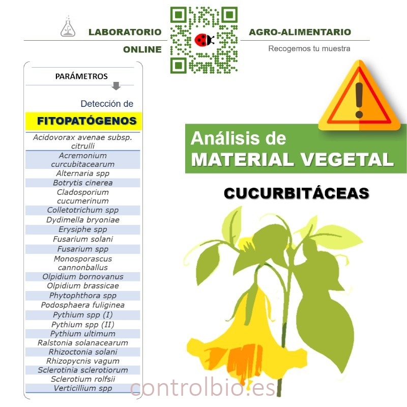 DETECCIÓN DE FITOPATÓGENOS en cucurbitáceas