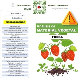 DETECCIÓN DE FITOPATÓGENOS EN FRESA