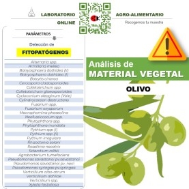 DETECCIÓN DE FITOPATÓGENOS en olivo