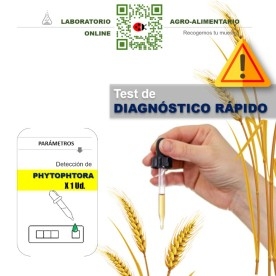 TEST Phytophthora