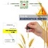 TEST Phytophthora