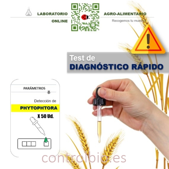TEST Phytophthora 50 Ud