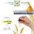 TEST Phytophthora 50 Ud