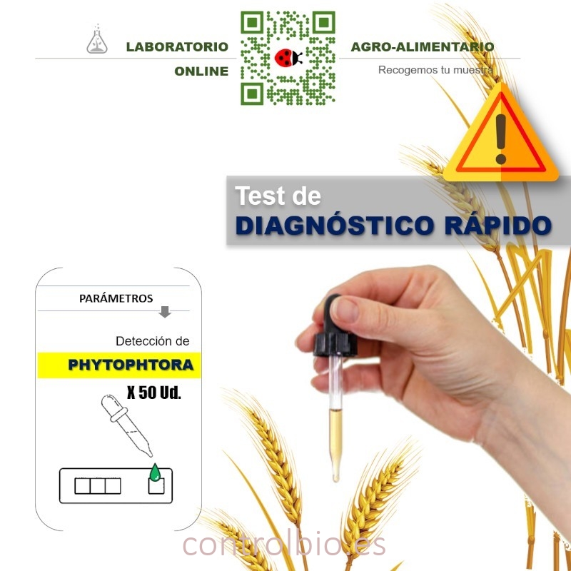 TEST Phytophthora 50 Ud