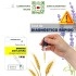 TEST Erwinia Amylovora 4 Ud Fuego bacteriano