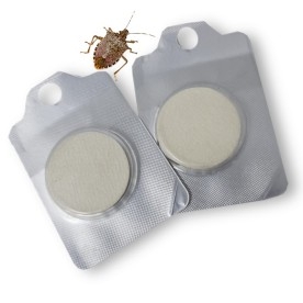 HALYOMORPHA HALYS cebo atrayente 40 días