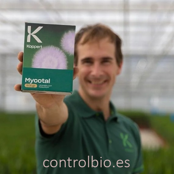 MYCOTAL Verticillium lecanii insecticida microbiano