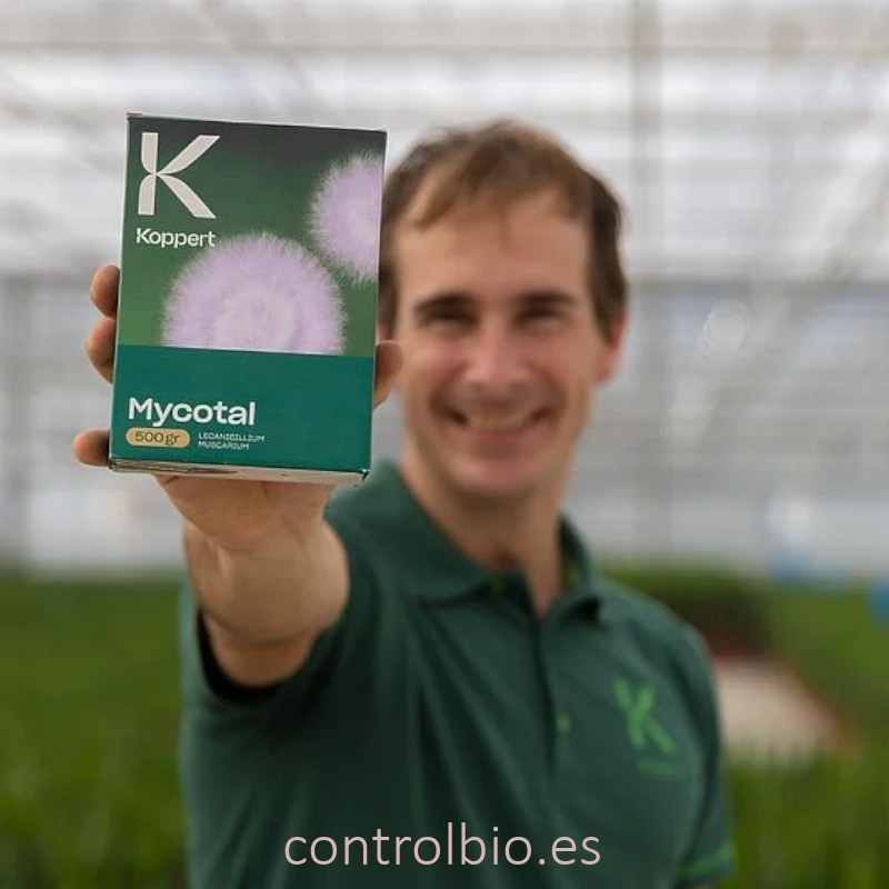 MYCOTAL Verticillium lecanii insecticida microbiano