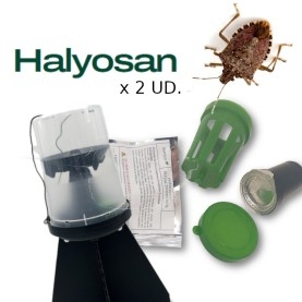KIT DE TRAMPEO HALYOMORPHA (trampa + feromona) x 2 Ud
