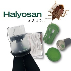 KIT DE TRAMPEO HALYOMORPHA (trampa + feromona) x 2 Ud