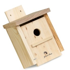CAJA NIDO INSECTÍVORAS para pared